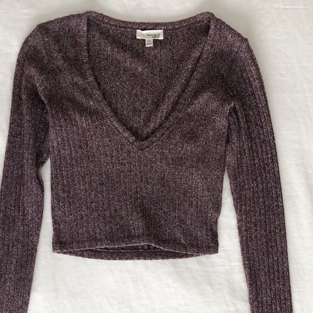 WILFRED Free Crop Long Sleeve V-Neck Sweater